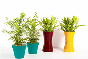 Super Complex Clipping path Service with high end retouch