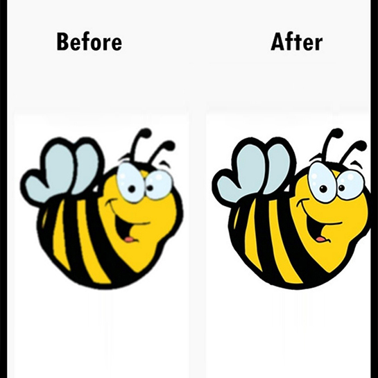 Raster to vector